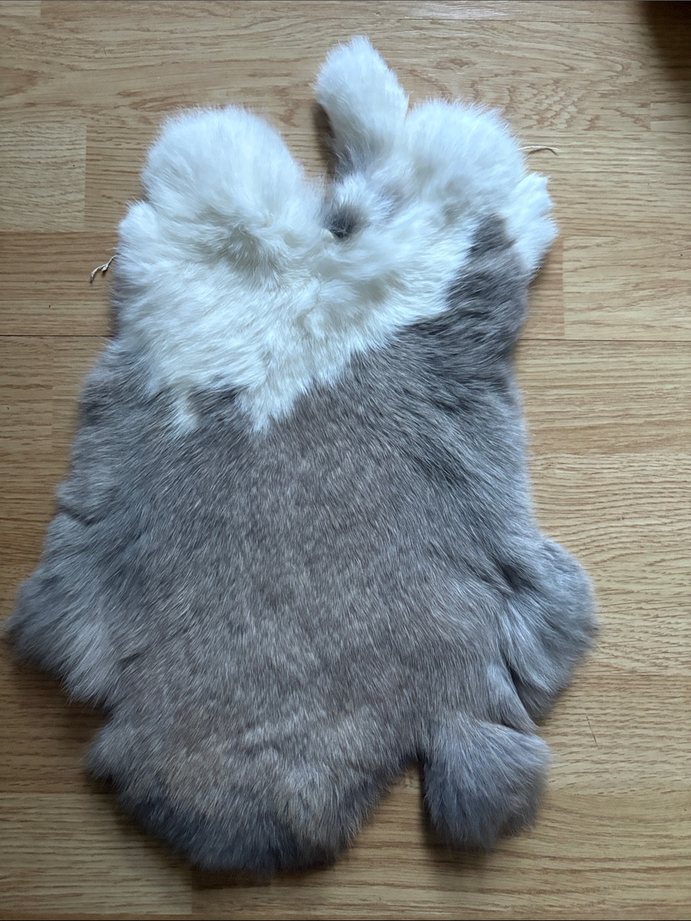 B0206 rabbit pelt